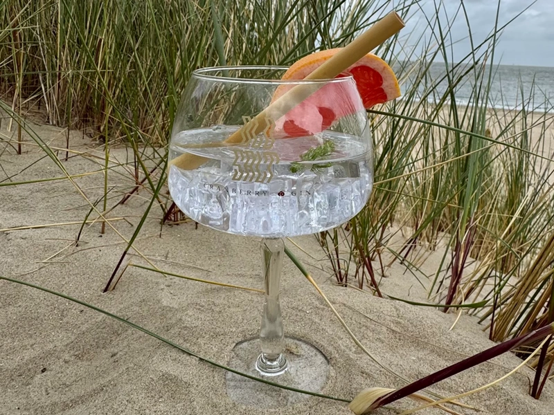 oldsalt-gin-recept-Waddenwind-OldSalt-Gin-Premium