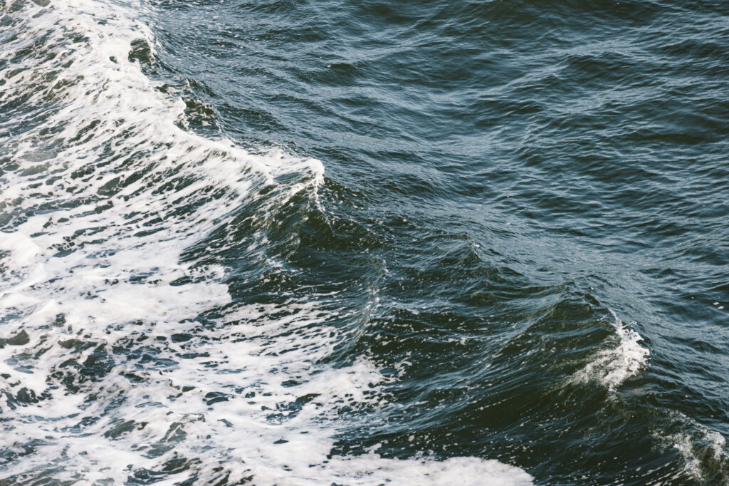 De Waddenzee