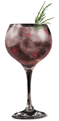 OldSalt-gin-serveer-tips
